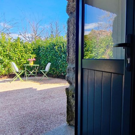 Agroturismo Quinta De Travancela Amarante Exteriör bild