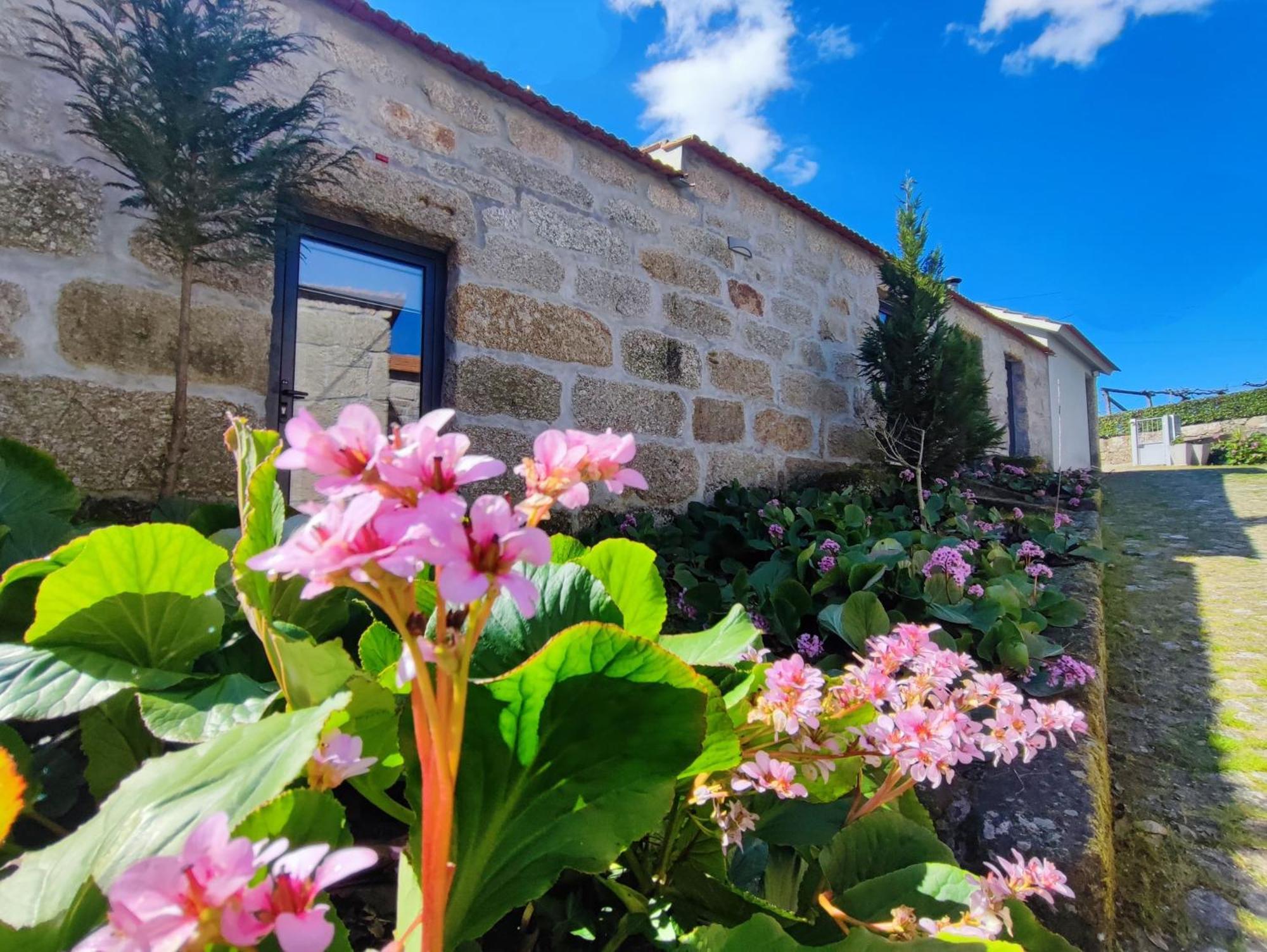 Agroturismo Quinta De Travancela Amarante Exteriör bild