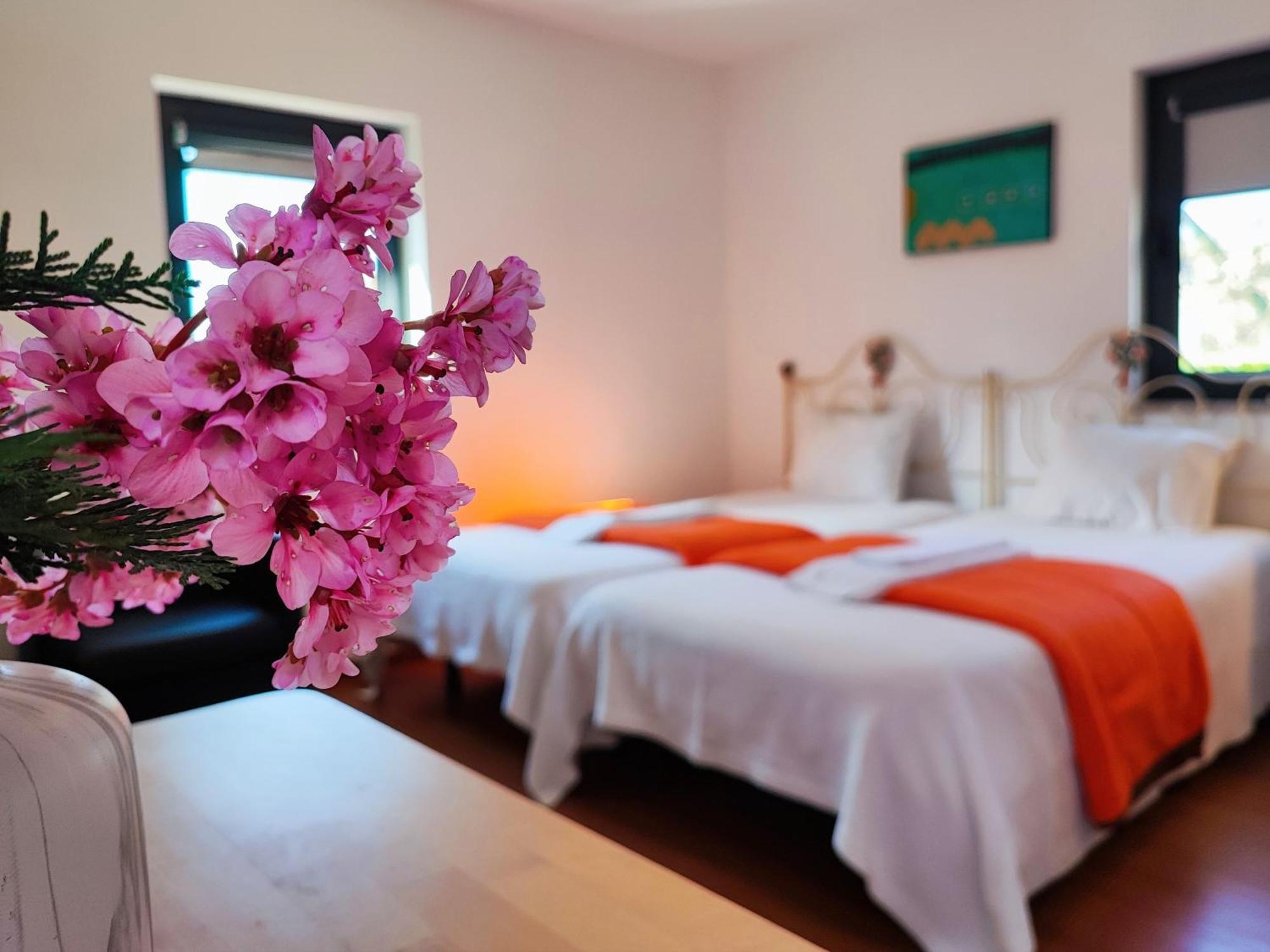 Agroturismo Quinta De Travancela Amarante Exteriör bild