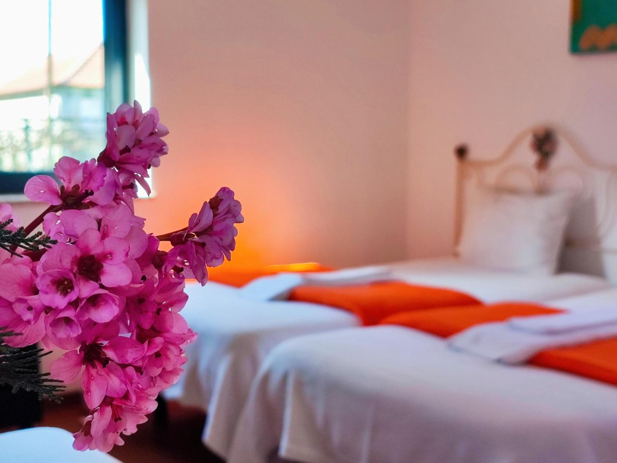 Agroturismo Quinta De Travancela Amarante Exteriör bild