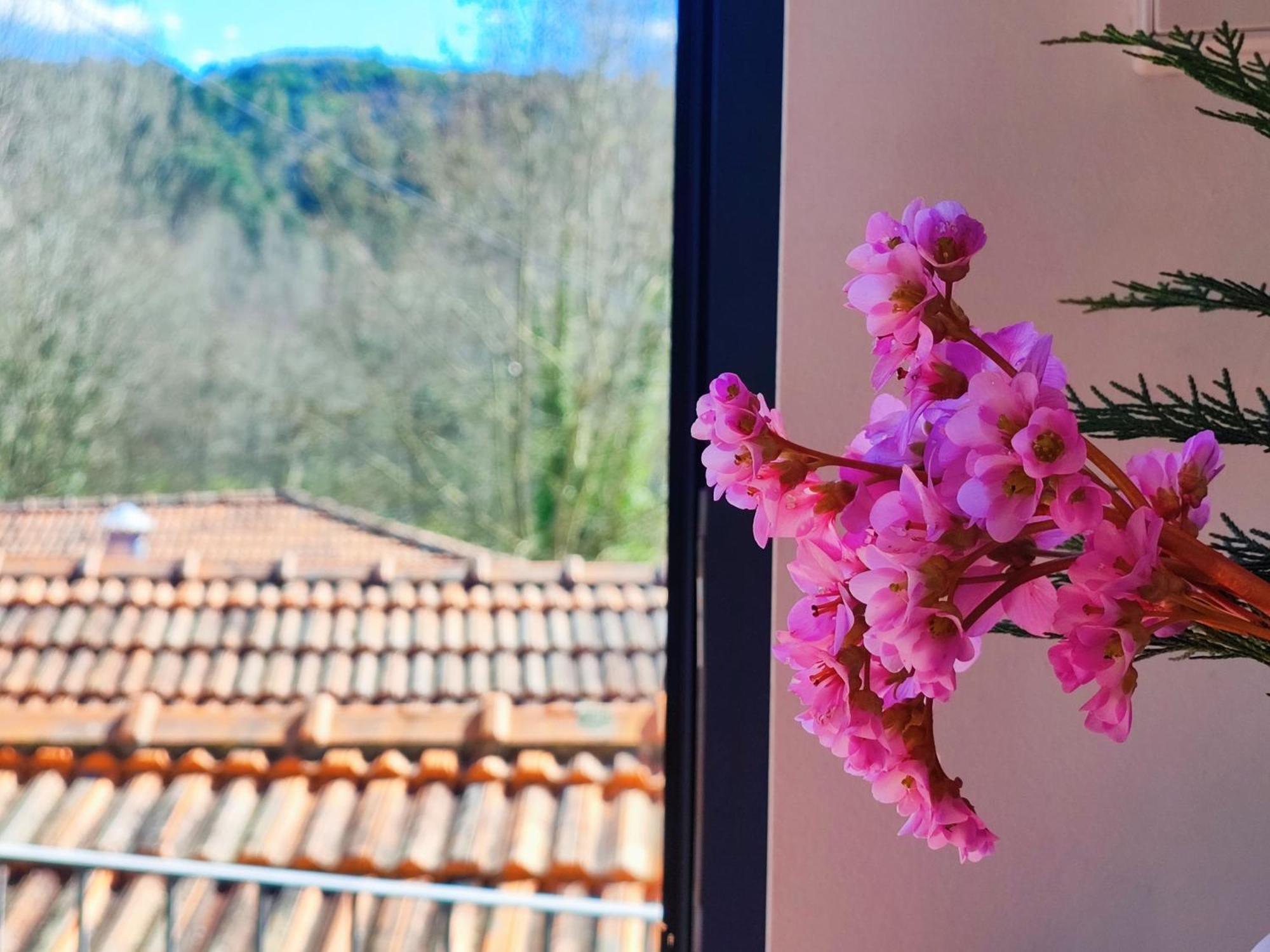 Agroturismo Quinta De Travancela Amarante Exteriör bild