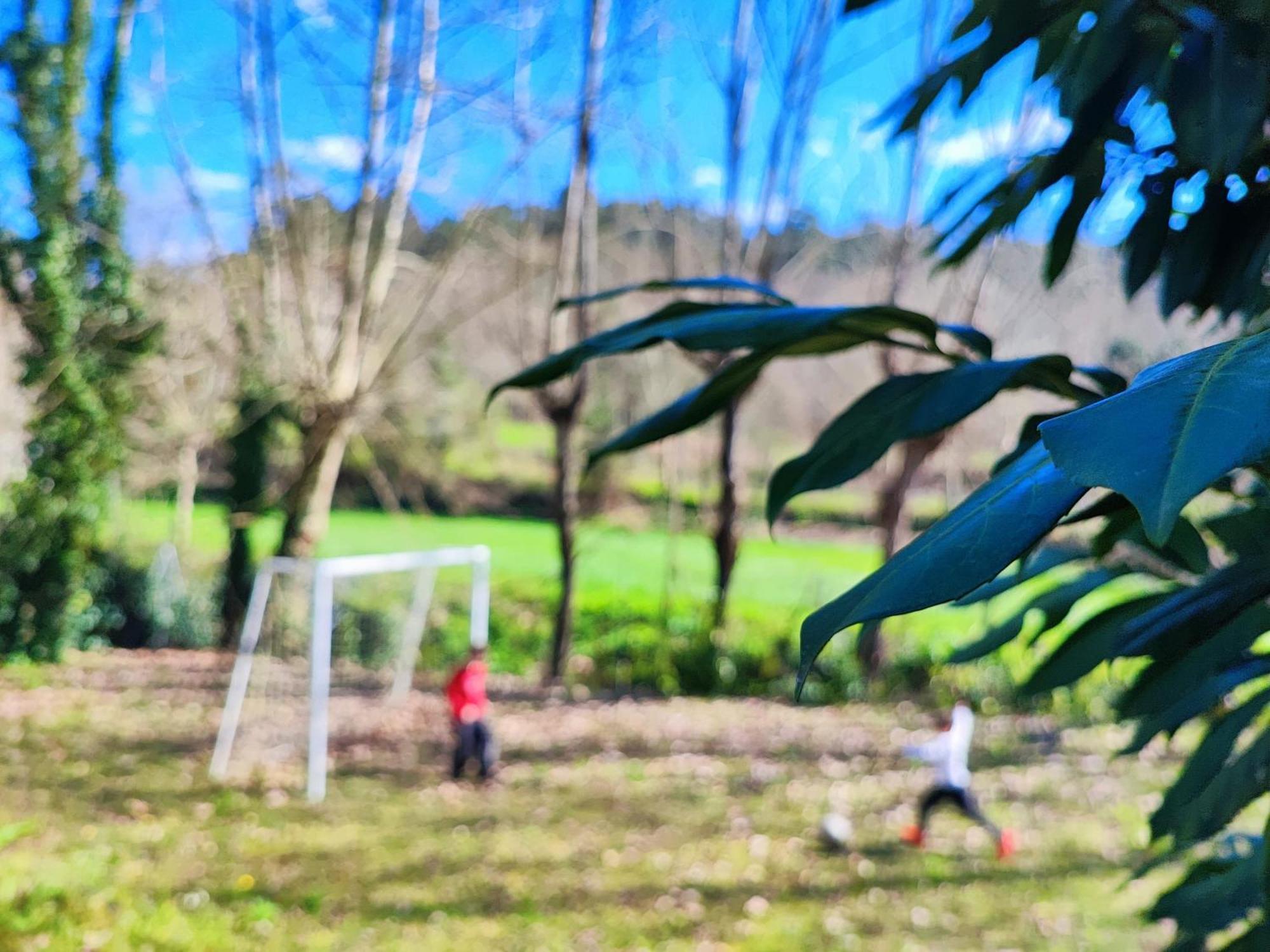 Agroturismo Quinta De Travancela Amarante Exteriör bild