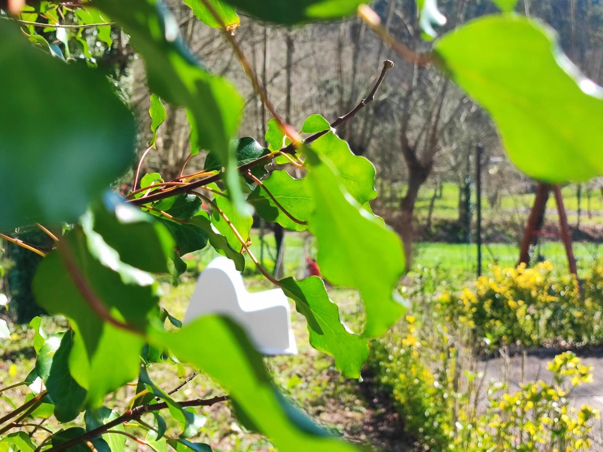 Agroturismo Quinta De Travancela Amarante Exteriör bild